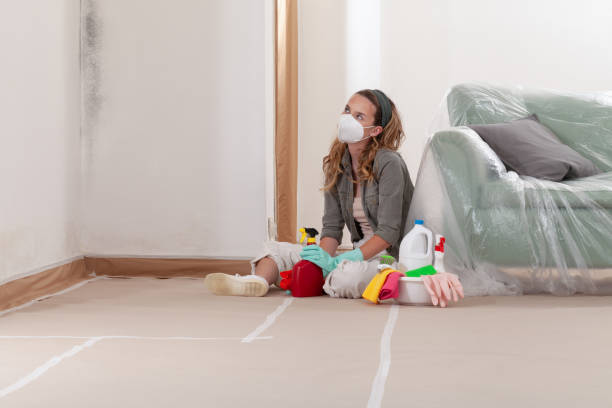 Reliable Basement Mold Remediation contractor in Pineville, PA by WQB Mold Removal